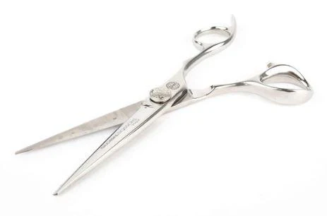 Arch 5.5 Scissors