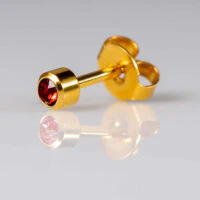 Birthstones February Regular Gold PAIR