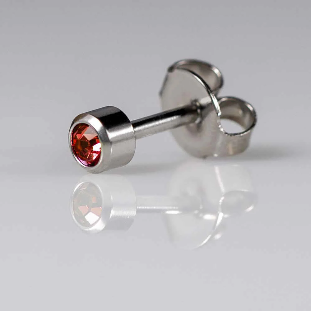 Birthstones January Regular Silver PAIR