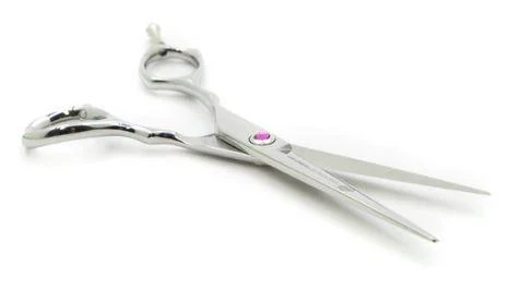 Eden Lefty 6.0 Scissors