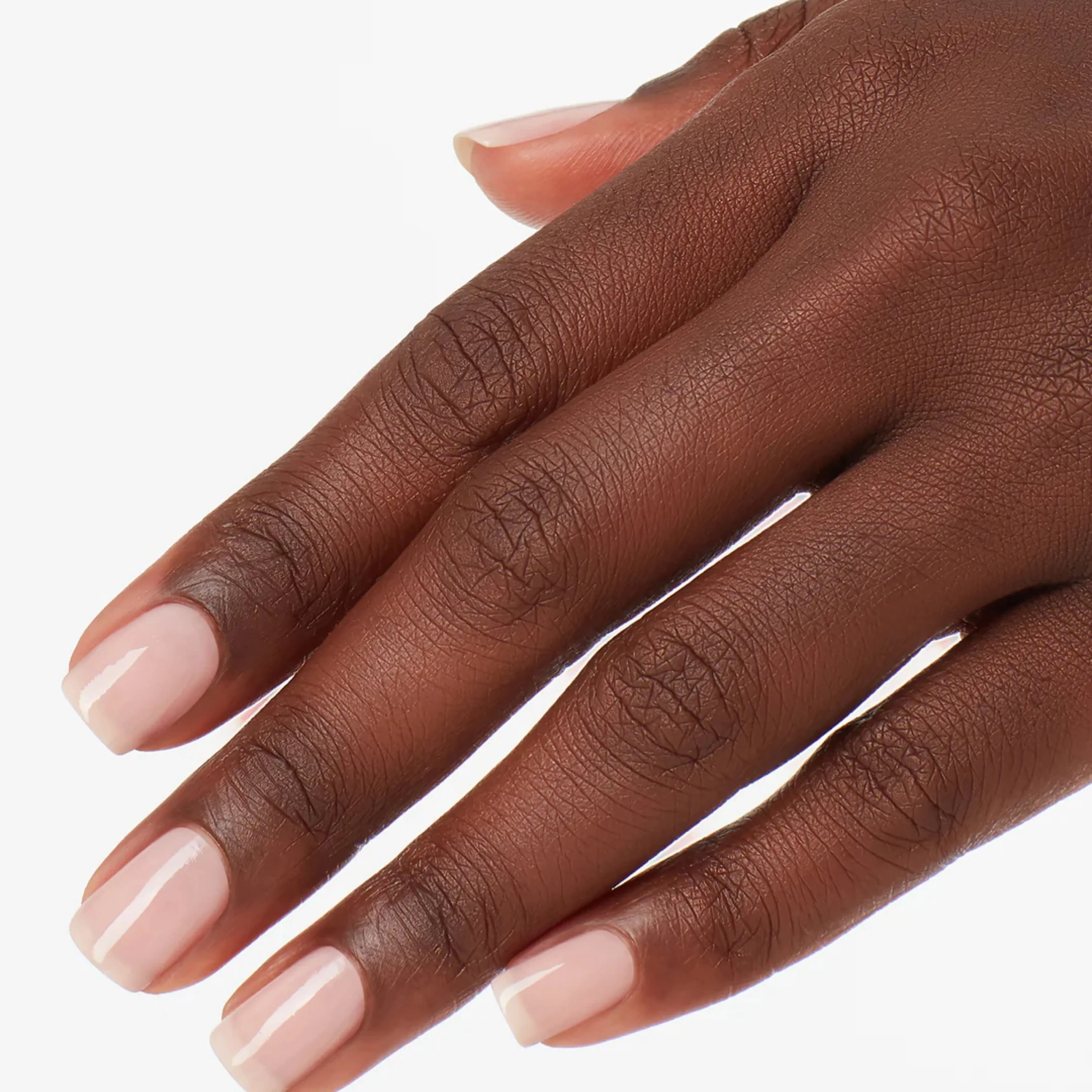 Lacquer - Put It In Neutral - Image 2