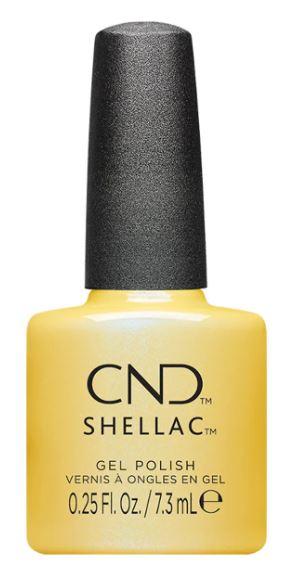 Shellac Char-Truth
