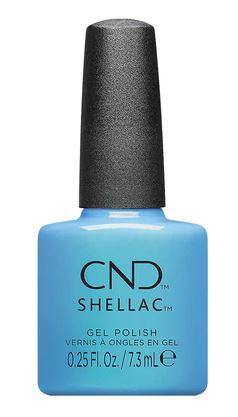 Shellac Hippie-Ocracy