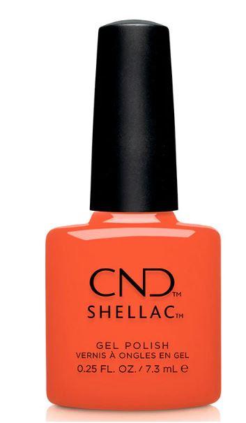 Shellac Ig-Night-Ed 7.3ml