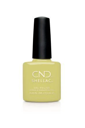 Shellac Mind Over Matcha