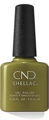 Shellac Olive Grove