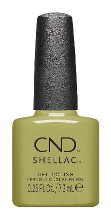 Shellac Plantbound