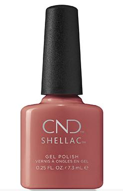 Shellac Terracotta Dreams